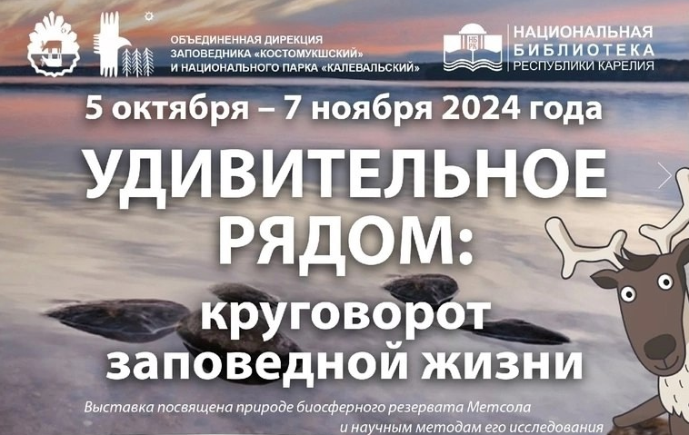 «Удивительное рядом: круговорот заповедной жизни» лекции 5 октября — 7 ноября 2024 г.