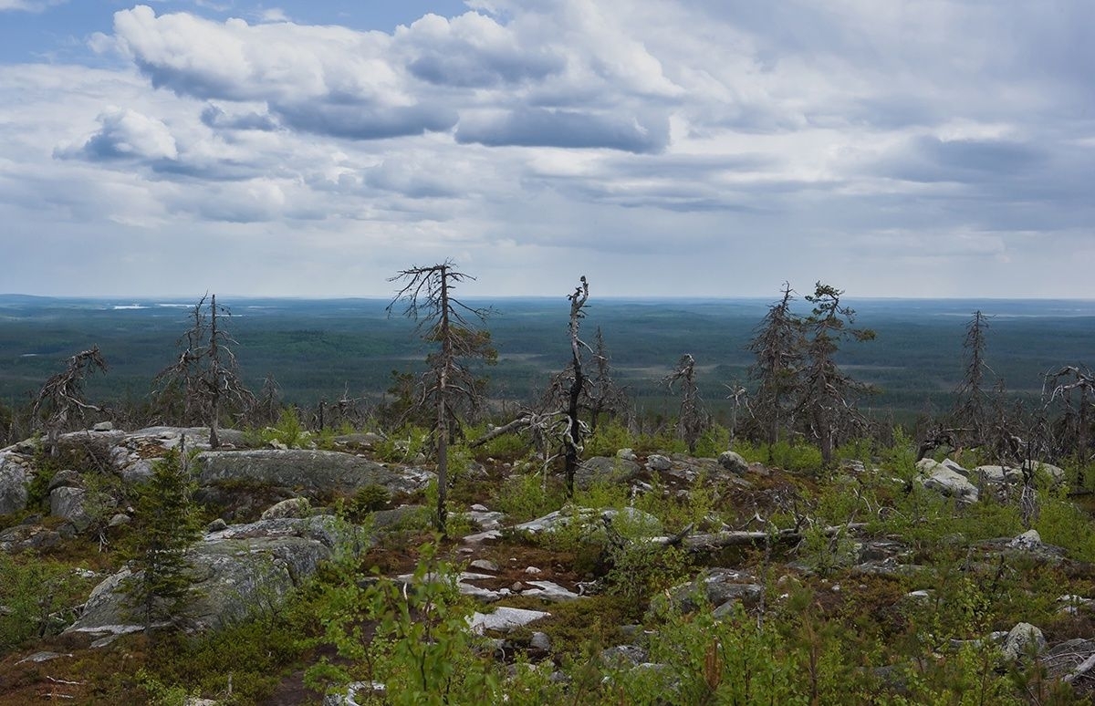 ЛЕКЦИЯ «Национальный парк «Воттоваара». Что скрывают скалы?».  19 ноября в 17:00. Лекторий «Природа Карелии»