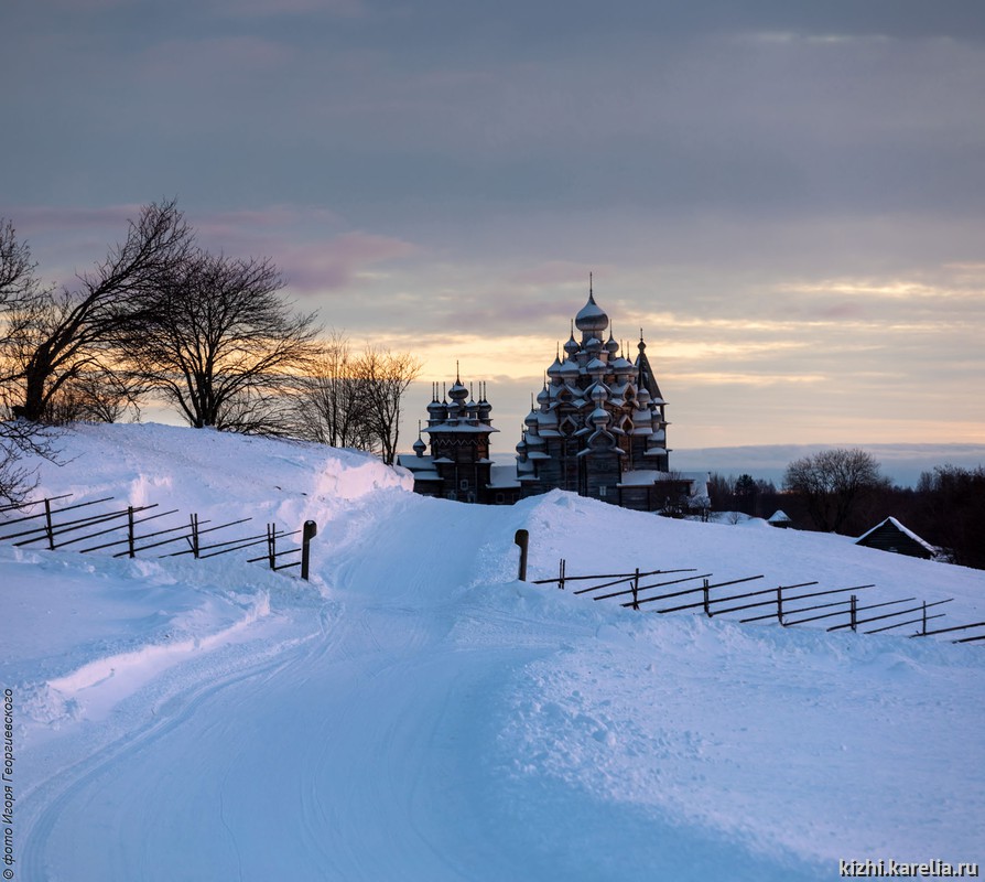 ЛЕКЦИЯ «Природа архипелага Кижские шхеры». 21 января 2026 г. Натуралистический лекторий «Природа Карелии».